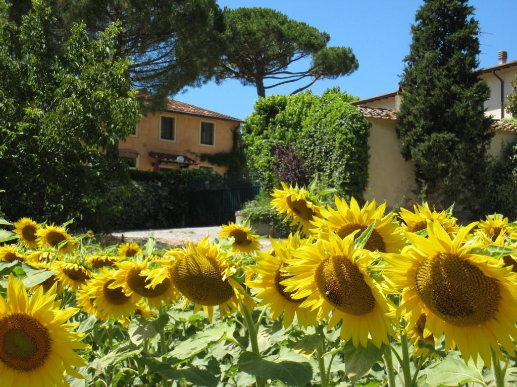 Agriturismo Buon Riposo - Country Resort In The Heart Of Tuscany San Giovanni a Corazzano Eksteriør billede