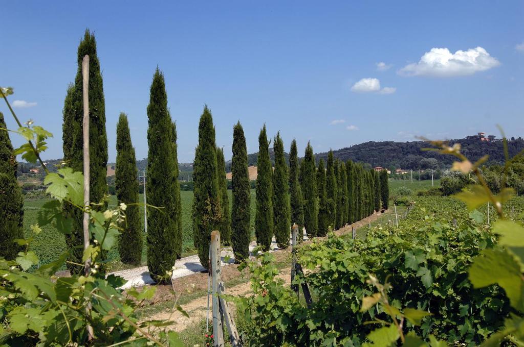 Agriturismo Buon Riposo - Country Resort In The Heart Of Tuscany San Giovanni a Corazzano Eksteriør billede